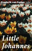 Little Johannes (eBook, ePUB)