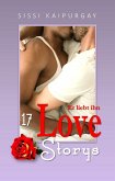 17 Love Storys (eBook, ePUB)