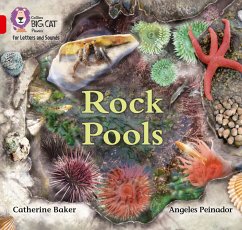 Rock Pools - Baker, Catherine