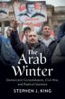 The Arab Winter - Bild 1