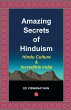 Amazing Secrets of Hinduism - Demy (PB)... - Bild 1