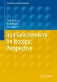 Iron Geochemistry: An Isotopic Perspective (eBook, PDF)