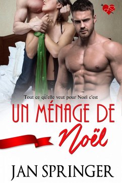 Un ménage de Noël (eBook, ePUB) - Springer, Jan