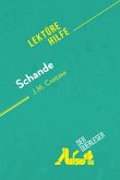 Schande von J.M. Coetzee (Lektürehilfe) (eBook, ePUB)