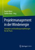 Projektmanagement in der Windenergie (eBook, PDF)