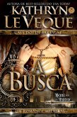 A Busca (eBook, ePUB)