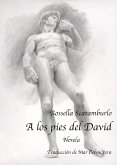 A los pies del David (eBook, ePUB)