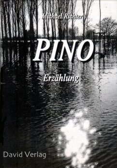 Pino (eBook, ePUB) - Richter, Michael
