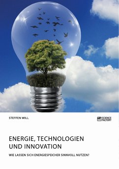 Energie, Technologien und Innovation. Wie lassen sich Energiespeicher sinnvoll nutzen? (eBook, PDF)