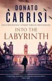 Into the Labyrinth (eBook, ePUB)