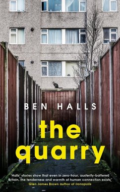 The Quarry (eBook, ePUB) - Halls, Ben