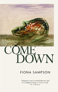 Cover Come Down (eBook, ePUB)