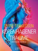 Kopenhagener Träume: Erotische Novelle (eBook, ePUB)