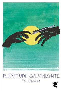 Cover Plenitude galvanizante (eBook, ePUB)