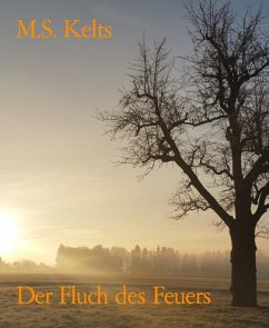 Der Fluch des Feuers (eBook, ePUB) - Kelts, M. S.