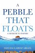 A Pebble That Floats - Bild 1