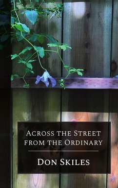 Across the Street From the Ordinary (eBook, ePUB) - Skiles, Don