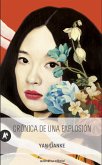 Crónica de una explosión (eBook, ePUB)