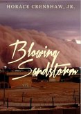 Blowing Sandstorm (eBook, ePUB)