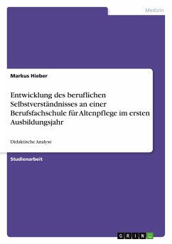 Entwicklung des beruflichen Selbstverständnisses an einer Berufsfachschule für Altenpflege im ersten Ausbildungsjahr - Hieber, Markus