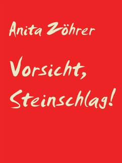 Vorsicht, Steinschlag! (eBook, ePUB)