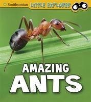 Amazing Ants - Peterson, Megan Cooley