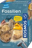 KOSMOS 657918 - Fossilien, Ausgrabungs-Set, Experimentierkasten, Mitbring-Experimente