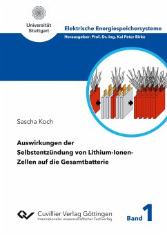 Auswirkungen der Selbstentzündung von Lithium-Ionen-Zellen auf die Gesamtbatterie - Koch, Sascha