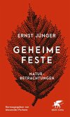 Geheime Feste (eBook, ePUB)