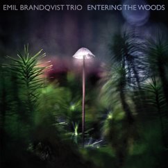 Entering The Woods (Digipak) - Emil Brandqvist Trio