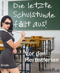 Die letzte Schulstunde fällt aus (eBook, ePUB) - Lange, Sindy