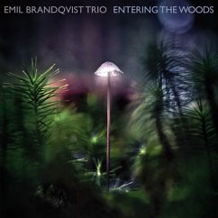 Entering The Woods (Ltd/180gr/Black Vinyl) - Emil Brandqvist Trio