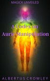 A Codex on Auric Manipulation (Magick Unveiled, #13) (eBook, ePUB)