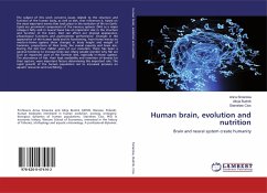 Human brain, evolution and nutrition