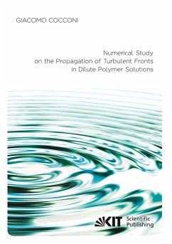 Numerical Study on the Propagation of Turbulent Fronts in Dilute Polymer Solutions - Cocconi, Giacomo