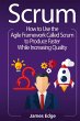 Scrum - Bild 1