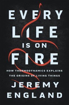 Cover Every Life Is on Fire