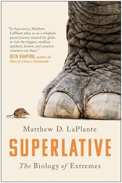 Superlative - LAPLANTE, MATTHEW D.