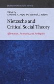 Nietzsche and Critical Social Theory: Affirmation, Animosity, and Ambiguity