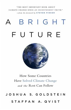 A Bright Future - Goldstein, Joshua S.