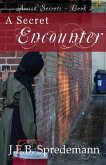 A Secret Encounter (Amish Secrets #2)