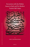 Encounters with the Hidden Imam in Early and Pre-Modern Twelver Shīʿī Islam