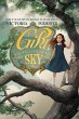 The Girl Who Fell Out of the Sky - Bild 1