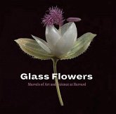 Glass Flowers