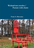 Weiland met stoelen / Pasture with chairs