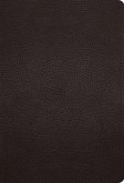 ESV Large Print Compact Bible (Buffalo Leather, Deep Brown)