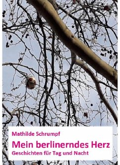 Mein berlinerndes Herz (eBook, ePUB) - Schrumpf, Mathilde