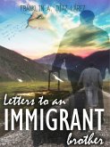 Letters to an immigrant brother (eBook, ePUB)