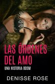 Las órdenes del amo (eBook, ePUB)