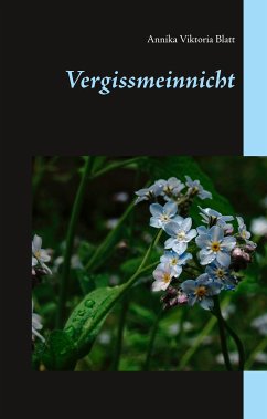 Vergissmeinnicht (eBook, ePUB) - Blatt, Annika Viktoria